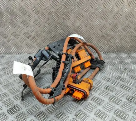 Skoda Enyaq iV Other wiring loom 1EA971015S