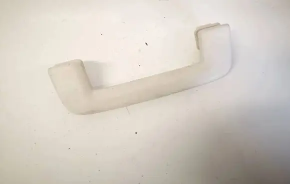 Ford Focus Front interior roof grab handle