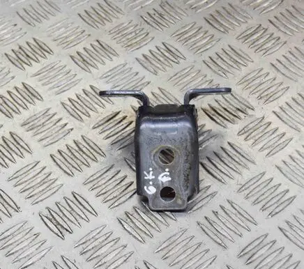 Rear door lower hinge