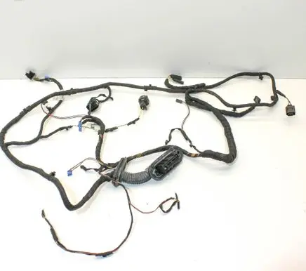 BMW 5 F10 F11 Front door wiring loom 9291018