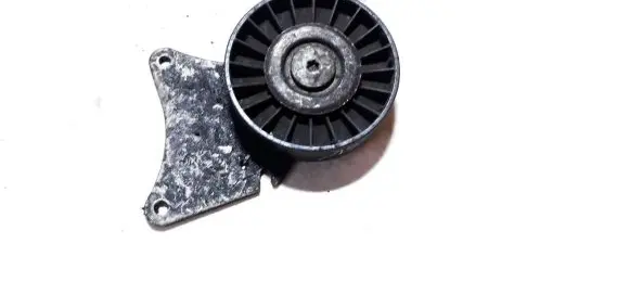 Peugeot 406 Generator/alternator belt tensioner 9621424580