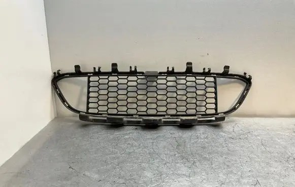 Front bumper lower grill