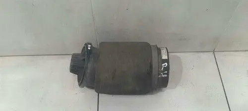 Mercedes-Benz R W251 Rear shock absorber with coil spring A2513200325