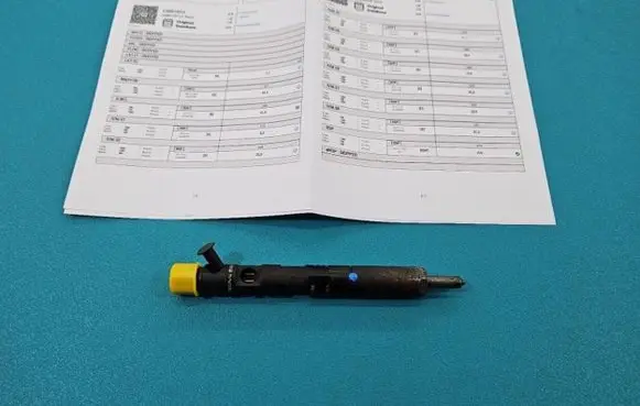 Renault Scenic II - Grand scenic II Fuel injector EJBR01801A IMPRK1439425