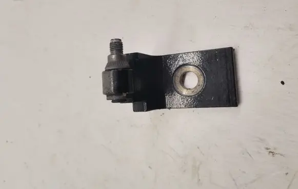 BMW X5 F15 Front door lower hinge 7325056