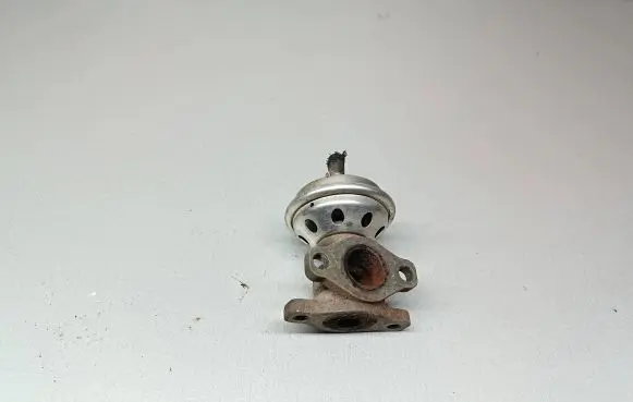 Seat Toledo II (1M) EGR valve 028131501E