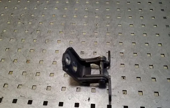 Opel Insignia A Rear door lower hinge ES03A046574