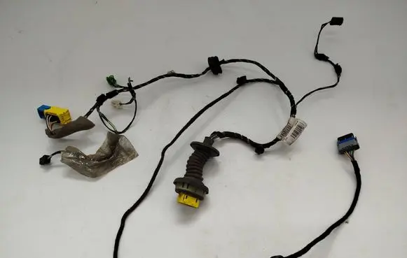 Front door wiring loom
