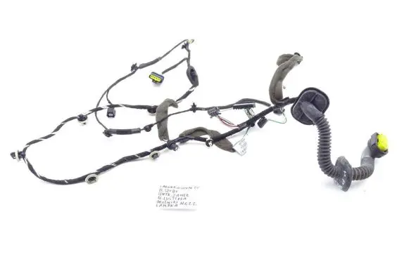 Renault Laguna III Front door wiring loom 241240115R