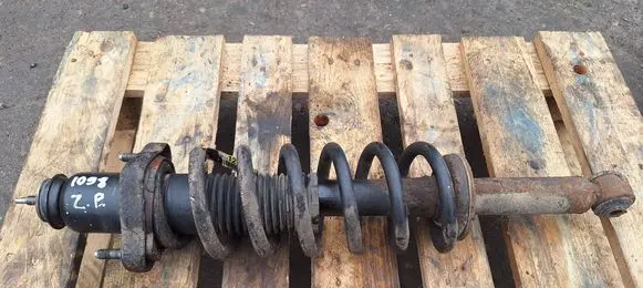 Dodge Journey Rear shock absorber with coil spring 