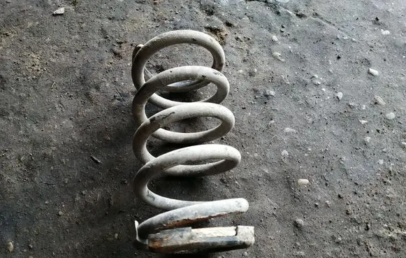 Rear coil spring