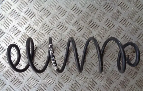 Rear coil spring