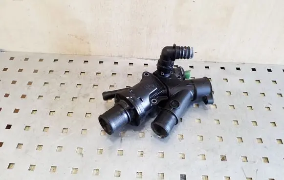 Thermostat/thermostat housing