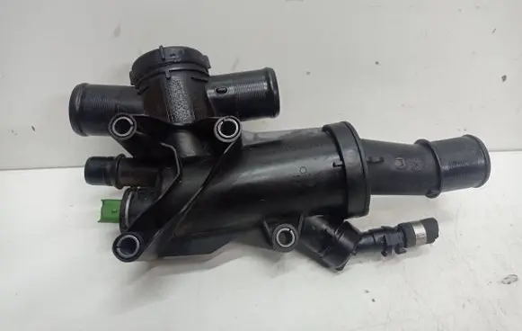 Thermostat/thermostat housing