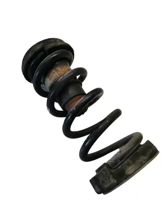 Chrysler Pacifica Rear coil spring 68231026AA