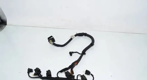 BMW 5 G30 G31 G38 Fuel injector wires 8581459 12518581459 8490389