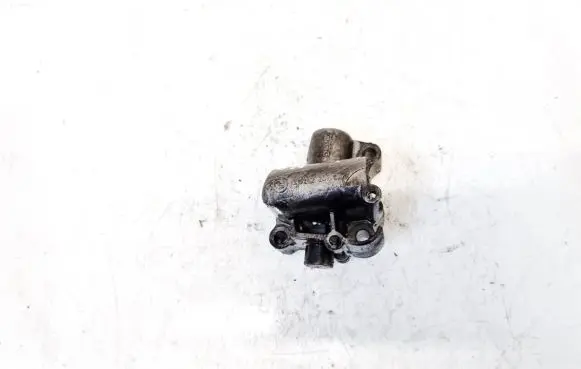 Opel Omega B2 Slide rail for timing chain 13522247644