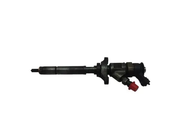Citroen C3 Picasso Fuel injector 0445110311 620033