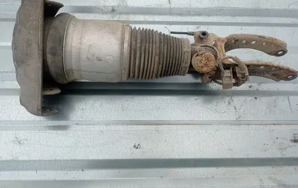 Porsche Cayenne (9PA) Air suspension front shock absorber 7L5412021AK