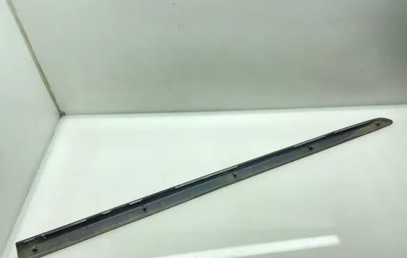 Front door trim (molding)