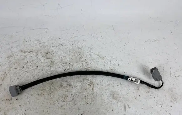 Toyota Mirai II Other wiring loom 77AAA-62010