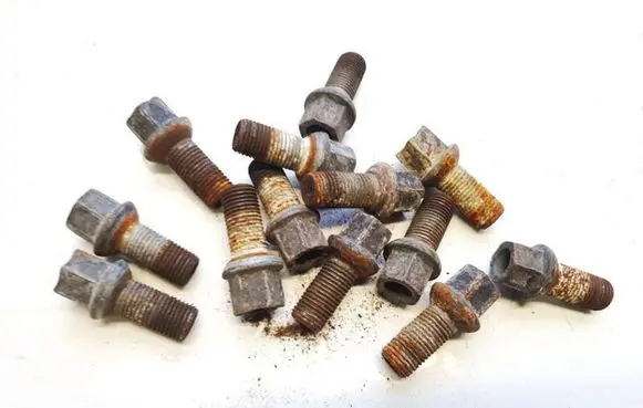 Citroen Xsara Picasso Nuts/bolts 