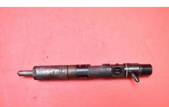 Renault Megane III Fuel injector 166000897R