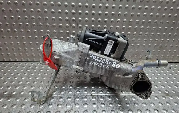 Citroen Berlingo EGR valve S26336305 702209080