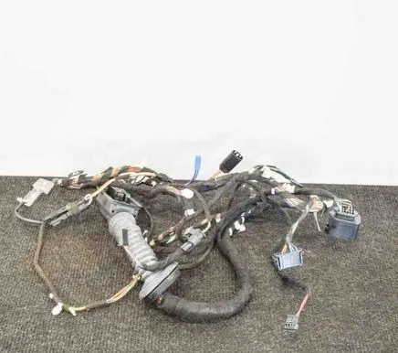 Front door wiring loom