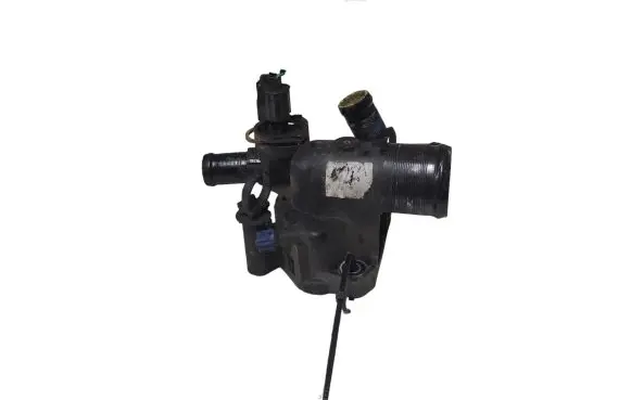 Thermostat/thermostat housing