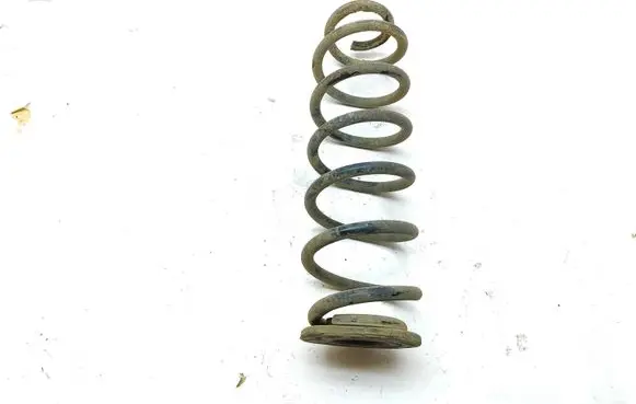 Skoda Octavia Mk2 (1Z) Rear coil spring