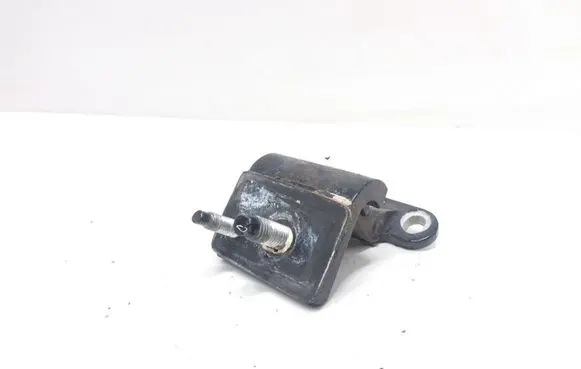 Volkswagen PASSAT B5 Tailgate/trunk/boot hinge 3B9827301D
