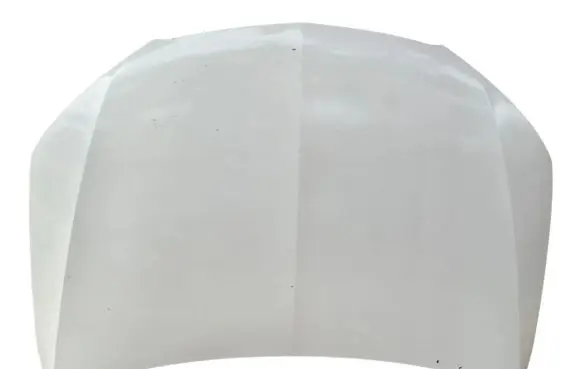 Seat Toledo IV (NH) Engine bonnet/hood 6JA823155
