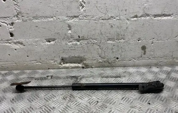 Tailgate/trunk strut/damper