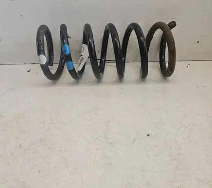 Rear coil spring