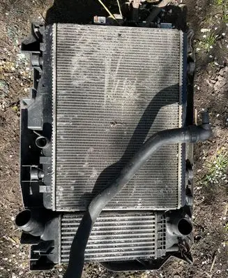 Engine bonnet/hood lock trim molding