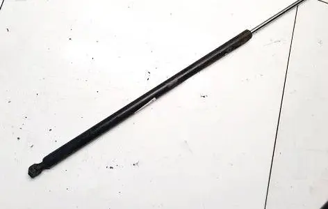 Tailgate/trunk strut/damper