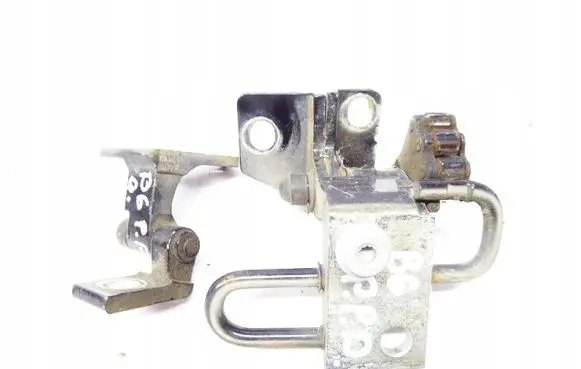 Volkswagen PASSAT B6 Front door hinge set 3C0831402