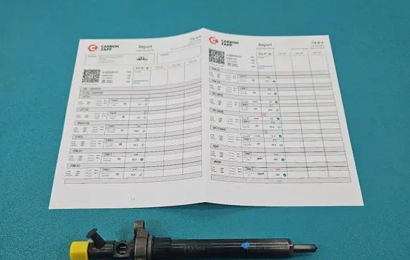 Citroen C5 Fuel injector 9656389980 IMPRK1540380