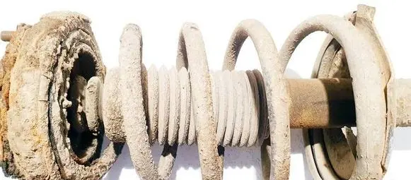 Rear coil spring