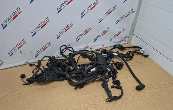 Engine installation wiring loom