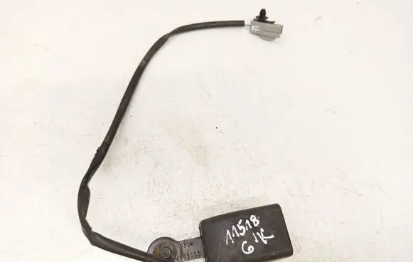 Tesla Model S Rear seatbelt buckle 101879100A