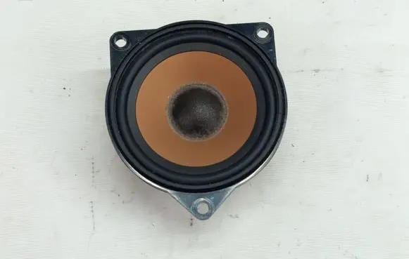 BMW X6 E71 Panel speaker 6978052 18820010 430407859911