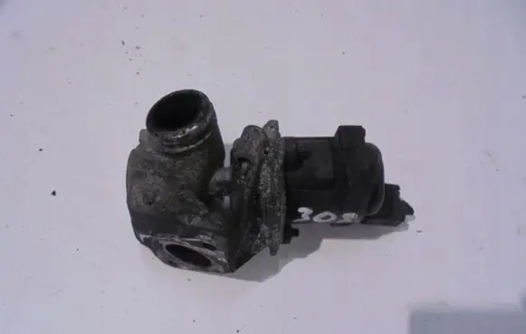 EGR valve