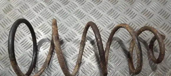 Front coil spring