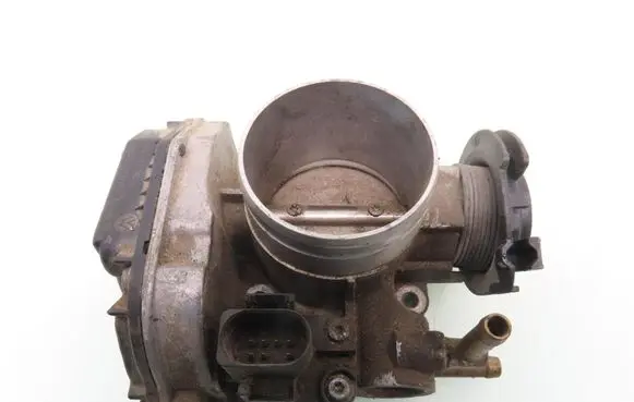 Seat Toledo II (1M) Throttle body valve 06A133064J
