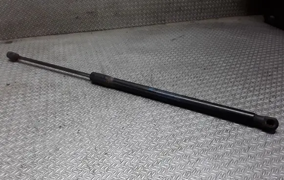 Peugeot 1007 Tailgate/trunk strut/damper 9649587680