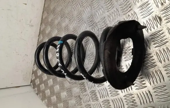 Tesla Model 3 Rear coil spring 134447100B