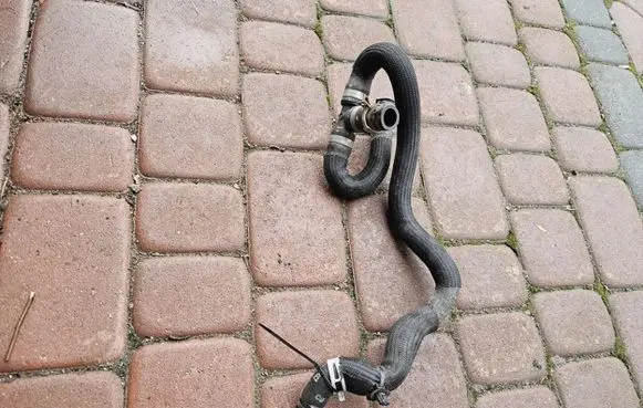 Renault Megane IV Engine coolant pipe/hose 210474077R