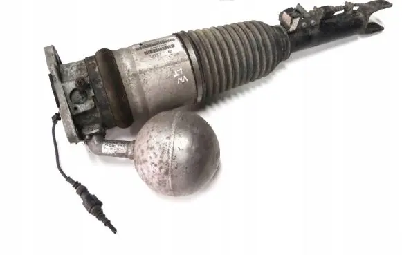 Volkswagen Phaeton Air suspension rear shock absorber 3d0616001f
